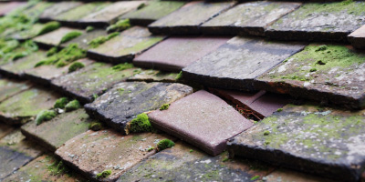 Ascott roof repair costs